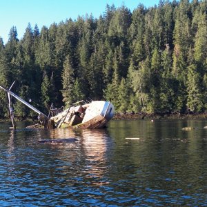 Not every attempt to run Sechelt is successful.