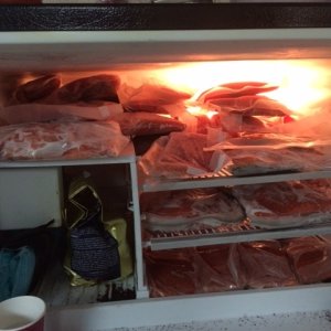 area 9 kings 2015. 100 pounds in 4 days. had to borrow freezer space at work!