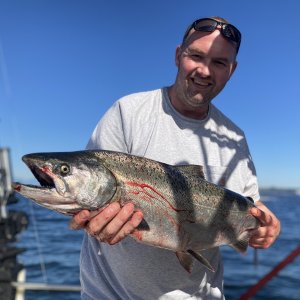 Media '2023' in album '25# king out of elliot bay'