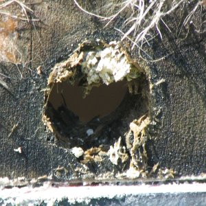 deck drain