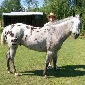 my war pony