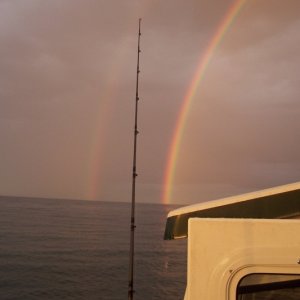 Wild Weather 6-1-10 001