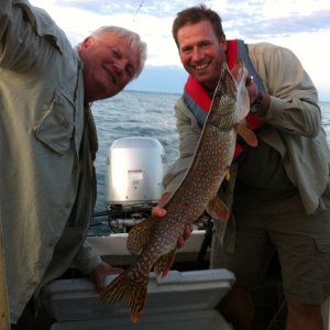 Al and pike