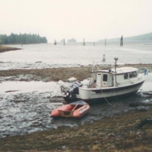 Media '1993-beached on hunting trip
One of the flat bottom advantages, run into shallow rivers and bays at high tide, who cares if you run dry.' in album '1989 in Ketchikan'