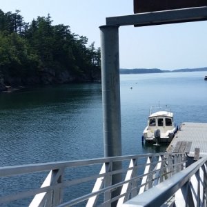 Matia Island