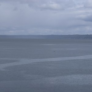 Hood Canal, Apr 30 - May 04, 2012 044 Twanoh State Park.  Rain arriving.