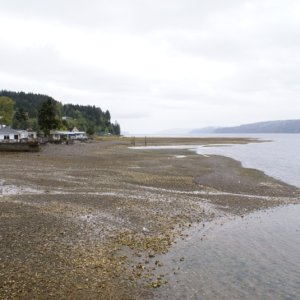 Media 'Hood Canal, Apr 30 - May 04, 2012 077 Hoodsport' in album 'Hood Canal, Apr 30 - May 04, 2012 002 Approaching the floating bridge from the N.'
