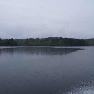 Media 'Hood Canal, Apr 30 - May 04, 2012 089 East Shore, Heading North.' in album 'Hood Canal, Apr 30 - May 04, 2012 002 Approaching the floating bridge from the N.'