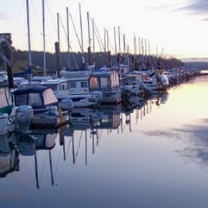 Friday Harbor C-Dorys at Dawn