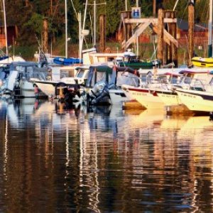 Friday Harbor C-Dorys at Dawn