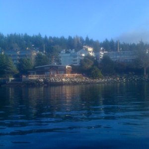 Woods Coffee House on the Winter Solstice -- The bay was so calm