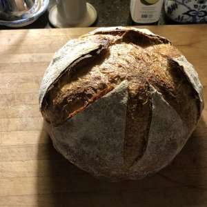 Normal bread