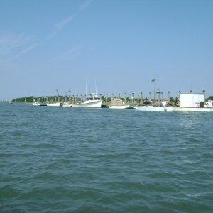 Local fishing fleet
