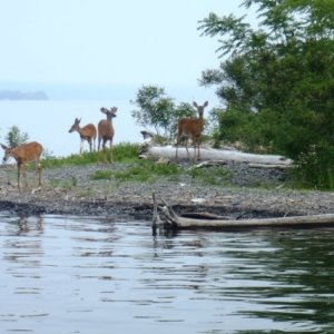 26.) Some friends greeted us on the mooring ball in the morning