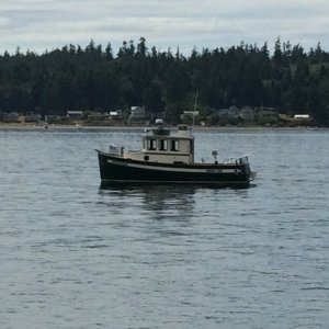Media 'exploring Jack Island' in album 'IMG 0288'