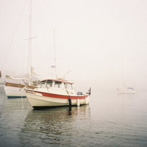 Fog05PT