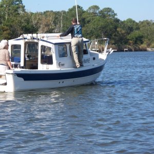 Skip on Fishwife