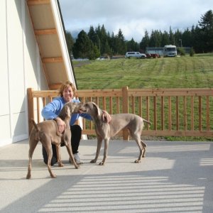 (Da Nag) Dana and dogs on deck