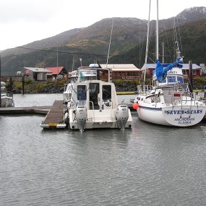 Barrel o Monkeys in Whittier Alaska