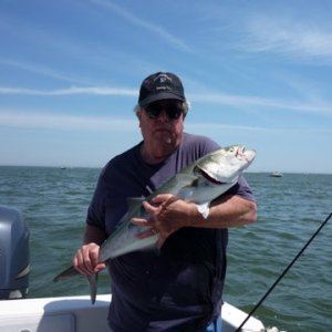 Media 'A decent spring blue just before I released him, yeah we were bonding' in album 'Mr. bluefish up on top looking over the situation'