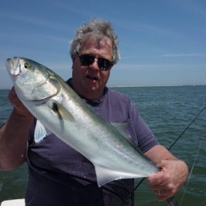 Media 'Great light tackle fish. All released today.Fishing just inside Little Egg Inlet next to Little Beach N.J. May 1st 2010. D.D having a bad hair day' in album 'Mr. bluefish up on top looking over the situation'