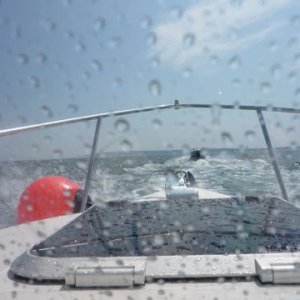 Left Westport 6:30 am 29 miles across to Block Island, seas were pretty flat ran it in two hours