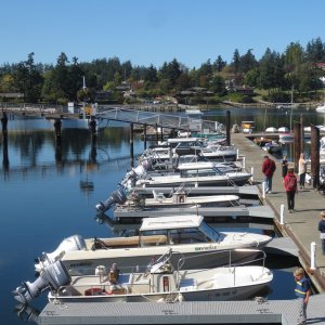 09-28-14 San Juans 14 - Friday Harbor