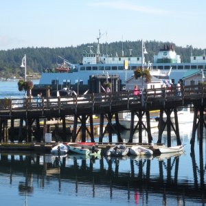 09-28-14 San Juans 18 - Friday Harbor