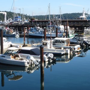 09-28-14 San Juans 19 - Friday Harbor