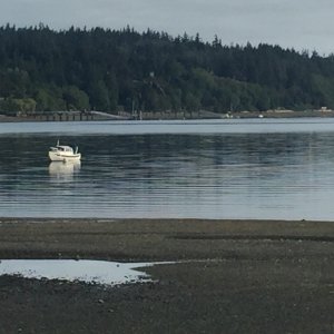 2016-07-01 Cruiser 22 at Holmes Harbor