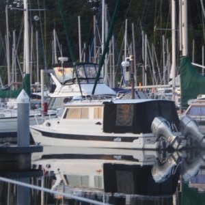 Tom Cat at Cap Sante Anacortes July 10th