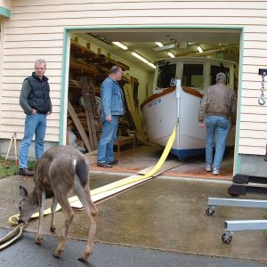 (Knot Yacht) Boat is ready to come out the door