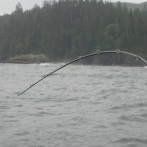 Media 'DSCN3028' in album 'Neah Bay King'