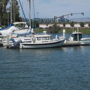 At RWC marina 2
