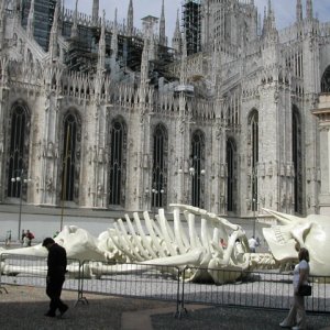 JoyceInFrontOfDuomoMilan