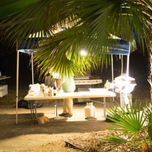 Late night, the food has to be put up--from the coons...and Sug takes a rest!