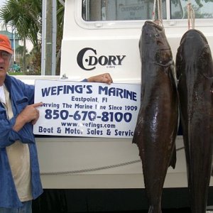Media 'Cobia' in album 'C-dory will raise fish'