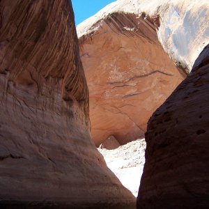 Mon 4/22 This may have been taken in Davis Gulch