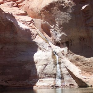 Media 'Mon 4/22 Small waterfall at the end of the left fork in Bowns Canyon' in album 'Fri 4/19 Somewhere between The Rincon and Oak Canyon'