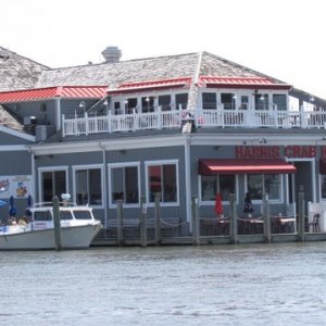 Media 'Bars and Restaurants abound in Kent Narrows' in album 'Our take off point Duffy's Creek Marina,on the Sassafras river 8 miles off the Cheaspeake Bay Fredricktown, Md. Excellent deep water launch ramp,fee 12 dollars, rig parking 6.00 dollars per day, trancient slip 1.75 per foot. all amenities including pool launch, showers fuel dock with gas and diesel. If you look carefully you can see a 22 C-Dory Cruiser Salt-C  just to the rear and left of the launch ramp area.'
