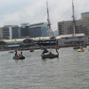 kids paddling around Baltimore's Inner Harbor