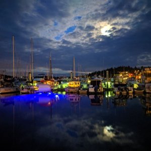 Friday Harbor Moonlight