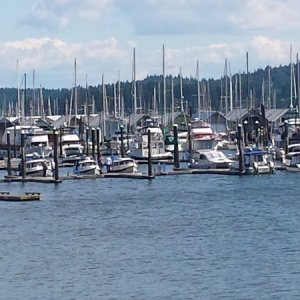 C-Dorys at Poulsbo Marina-Friday