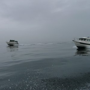C-Dancer & C-ya in fog at Skagit Bay