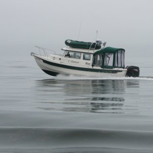 Foggy but the water was glassy