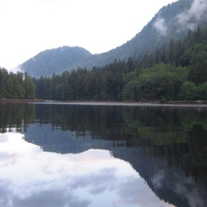 Bottleneck Inlet, looking east