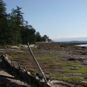 Low Tide at Newcastle Marine Park