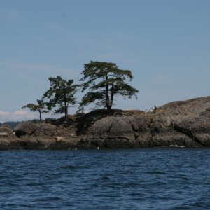 Bell Chain Islands