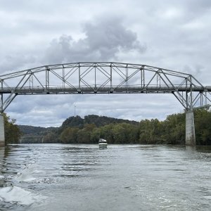 Media 'Mystery Girl going under Henry Horton bridge' in album 'Socializing at the slips'