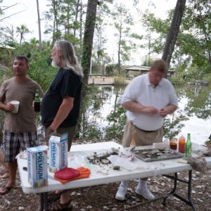 More oysters